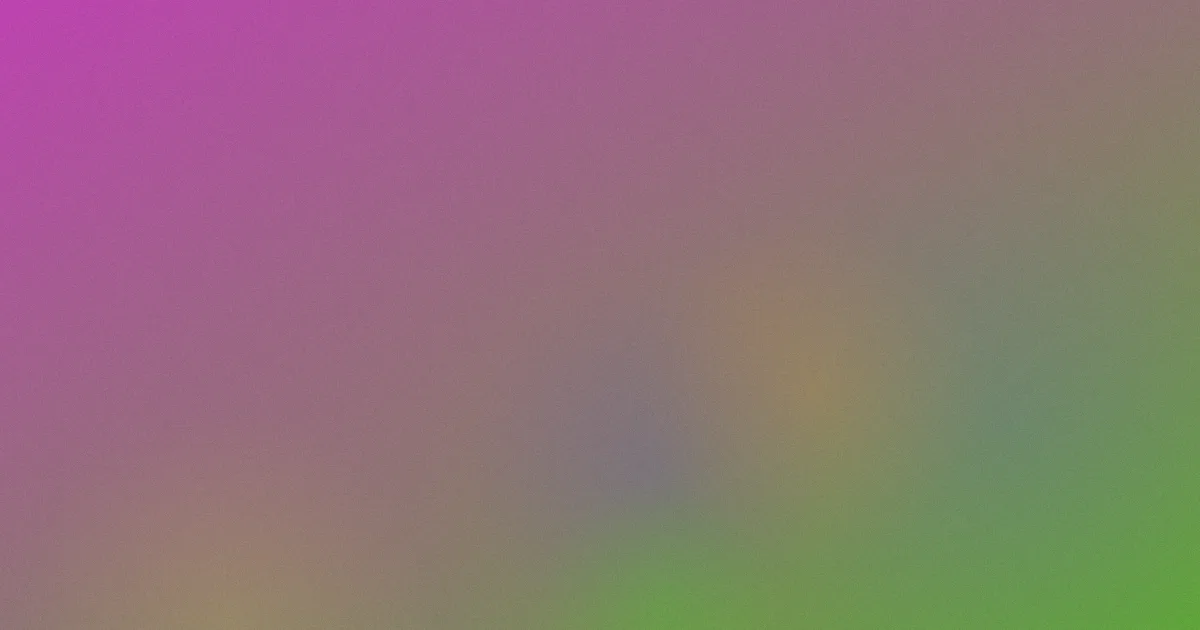 黑丝白虎测评：新手避坑版